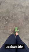mamyouu_star Altpins Profile Picture