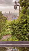 omer._shalom Altpins Profile Picture
