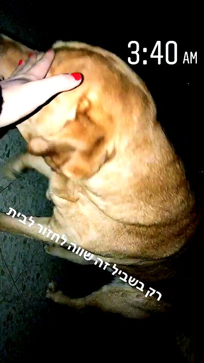 lissi77 lissi77 archive video