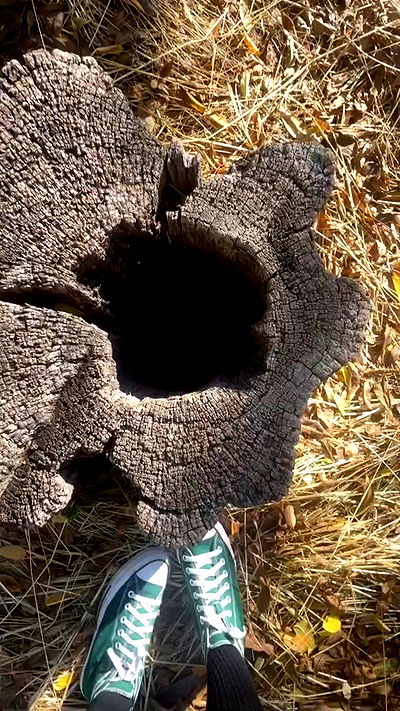 _animechika_ _animechika_ archive video