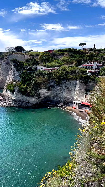 yam_adler yam_adler archive video