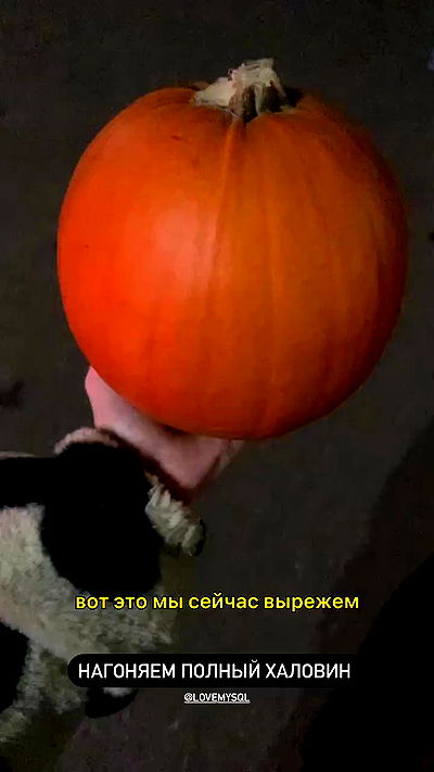 annfigma annfigma archive video