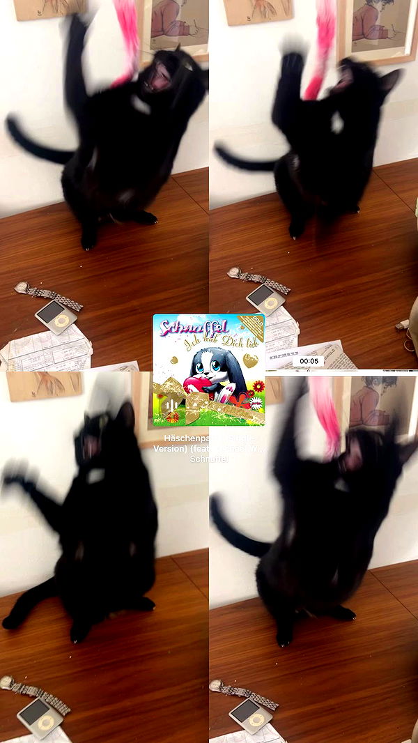 hellokittyangel666 archive video preview