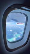 alinaaignatova Altpins Profile Picture