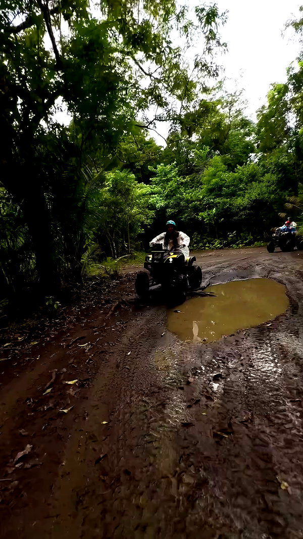 noa_mendel_ archive video preview