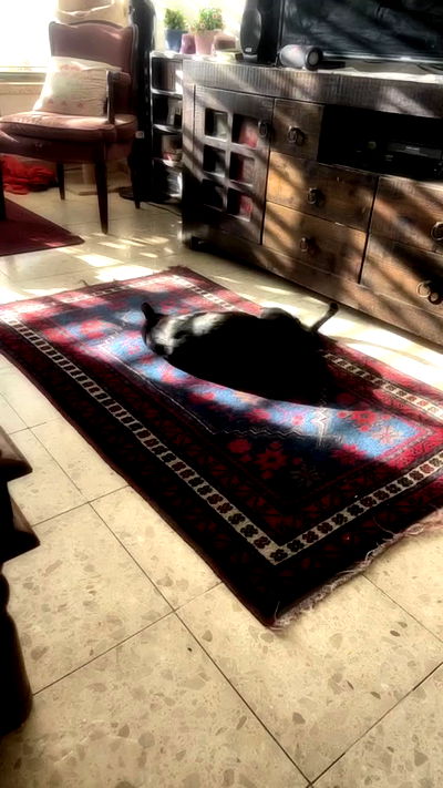 feelbetterinmysweater feelbetterinmysweater archive video