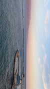 shirpeleg._ Altpins Profile Picture