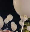shelly_feller Altpins Profile Picture