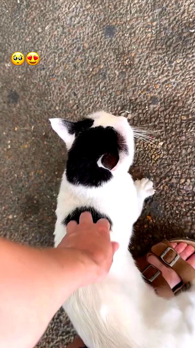 mishel116 mishel116 archive video