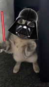nylthria Altpins Profile Picture