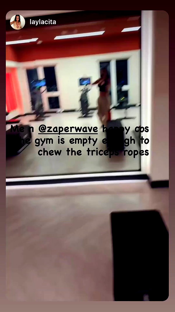 zaperwave archive video preview