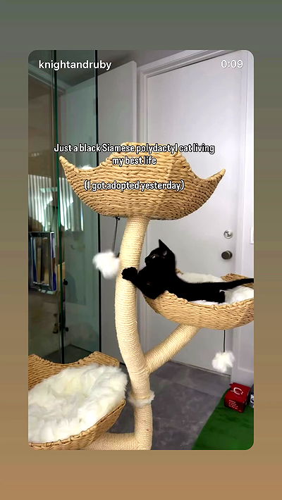 sophiemudd sophiemudd archive video