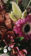 reverennce Altpins Profile Picture