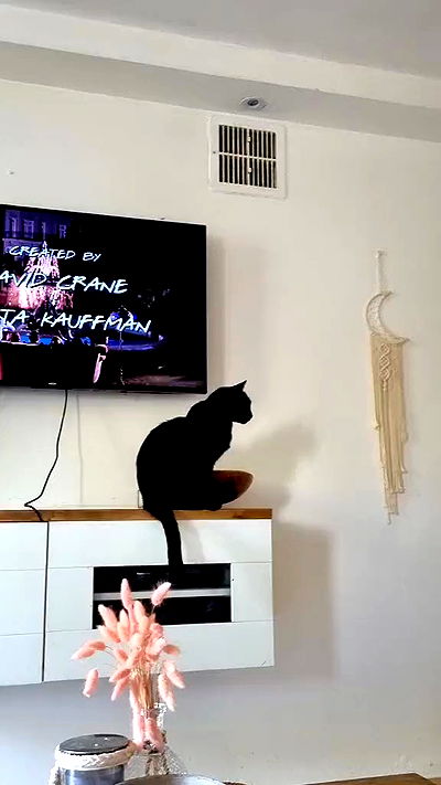 laluzone laluzone archive video