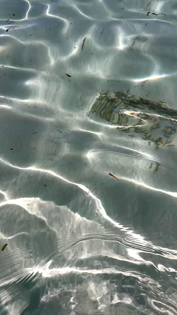 lior.kashanovsky archive video preview