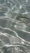 lior.kashanovsky Altpins Profile Picture