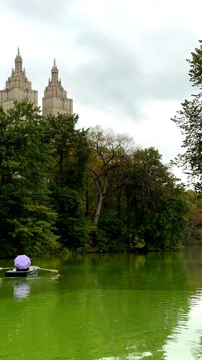 iambohema.v2 iambohema.v2 archive video