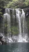 sonya_fisher_ Altpins Profile Picture