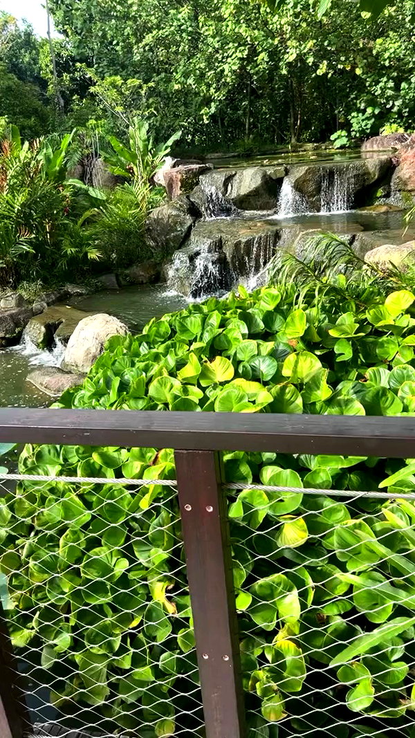 sapir_shemer archive video preview