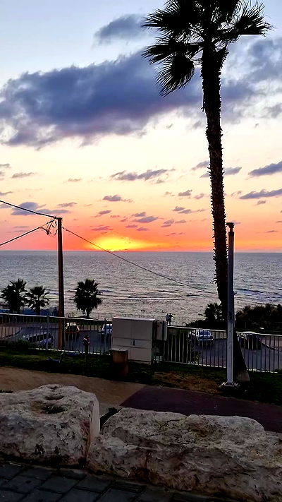 ida.trbl ida.trbl archive video