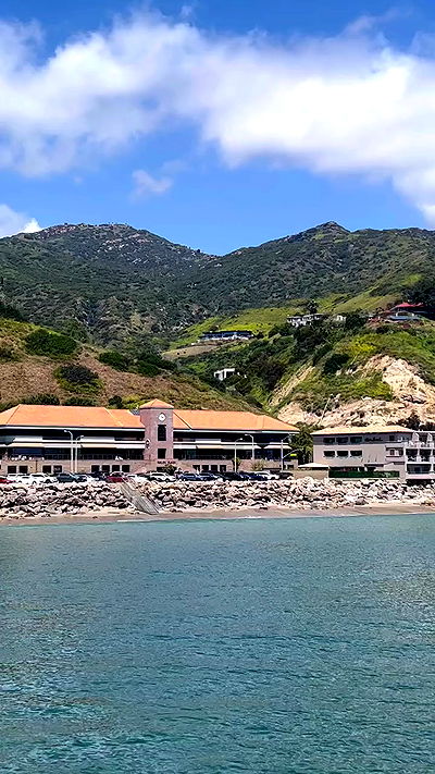 bakedsloths bakedsloths archive video