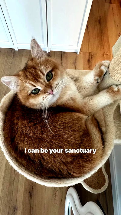 itsilanosh itsilanosh archive video