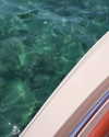 tingting_lai Altpins Profile Picture