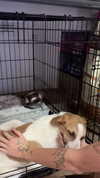ilana_kotlovker Altpins Profile Picture