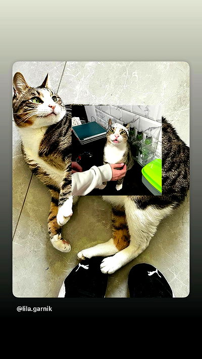 lila.garnik lila.garnik archive video