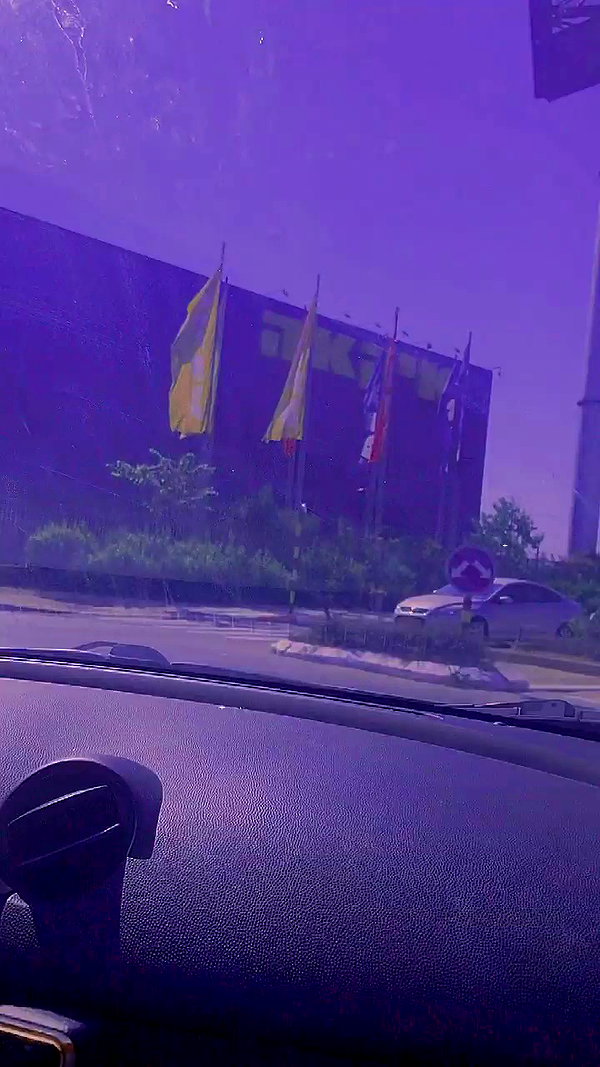 feelbetterinmysweater archive video preview
