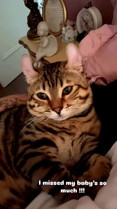 laurinchhhe laurinchhhe archive video