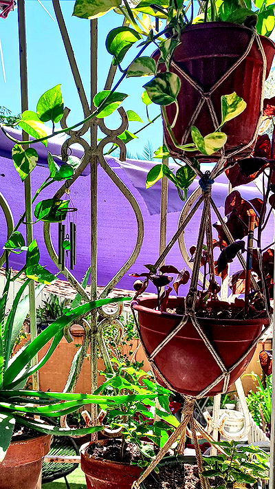 1justsabi 1justsabi archive video