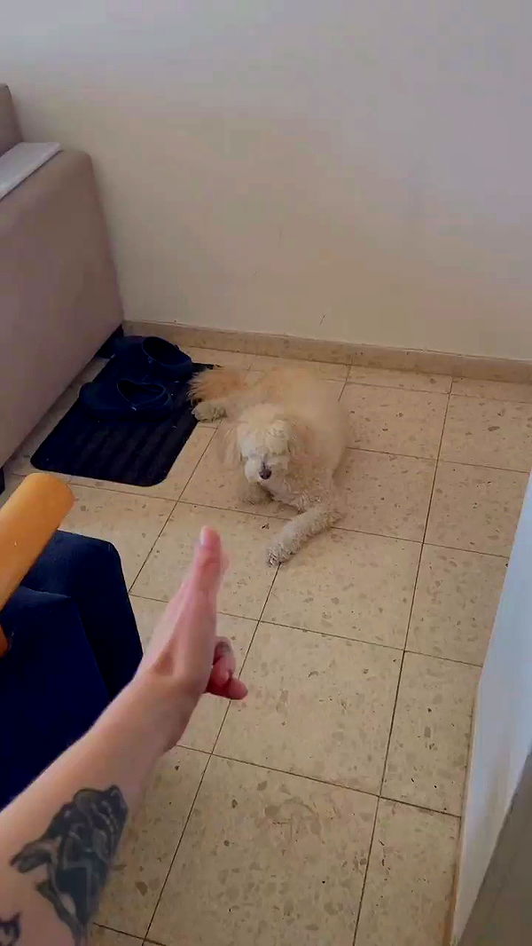 feelbetterinmysweater archive video preview