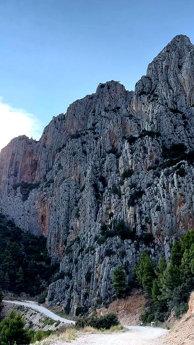 carolinezalog carolinezalog archive video