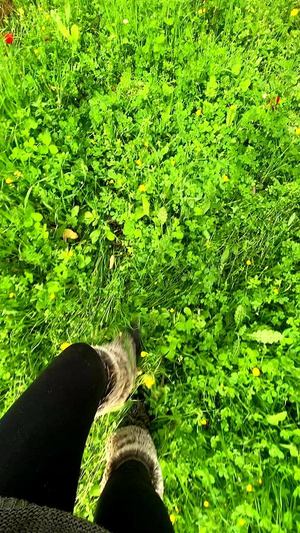 hanabellask8 archive video preview