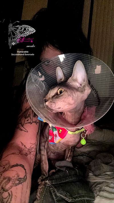 zommmbri zommmbri archive video