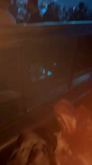 gloriaaraducan archive video preview