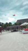 noa_mendel_ Altpins Profile Picture