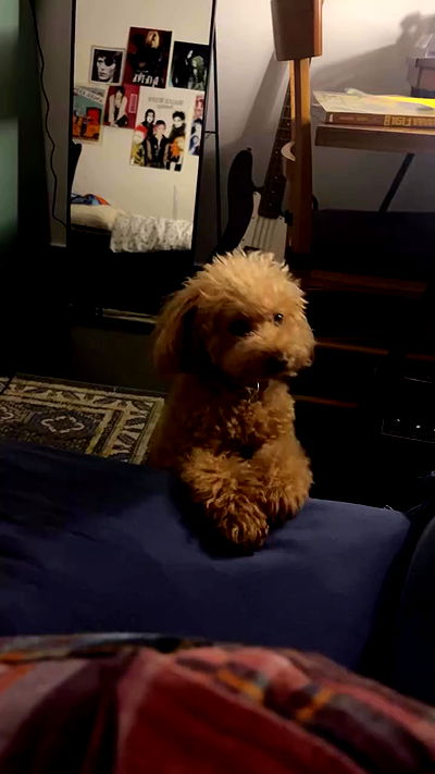 li.zi.707 li.zi.707 archive video