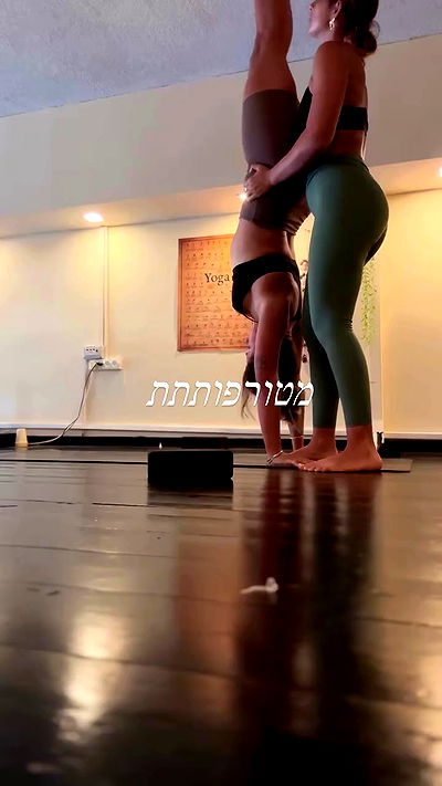 liad.arazi liad.arazi archive video