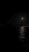_anastasiaxxq_ Altpins Profile Picture