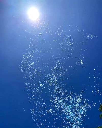 shunli__mei shunli__mei archive video