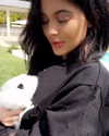 kyliejenner Altpins Profile Picture