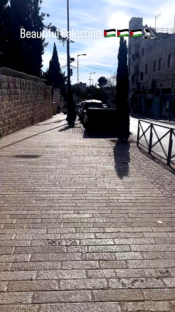 _femalien archive video preview