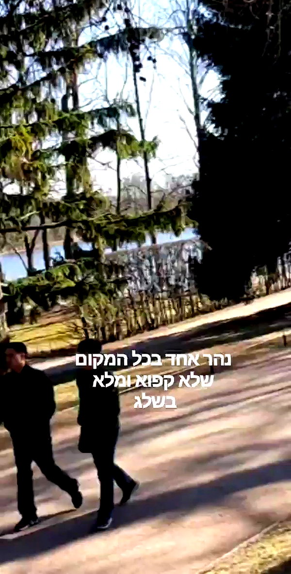 emily_new2 archive video preview