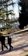 emily_new2 Altpins Profile Picture