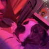dakotabell05 Altpins Profile Picture
