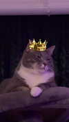 charleygrayyy Altpins Profile Picture