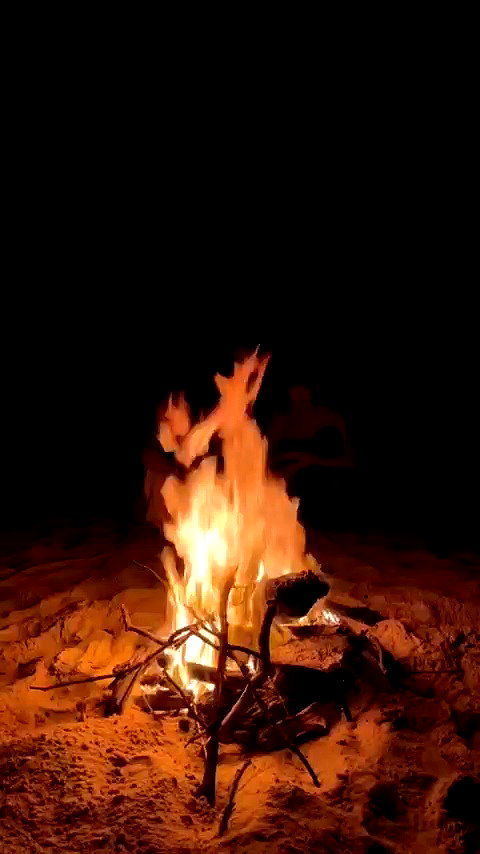 caitlincook_ archive video preview