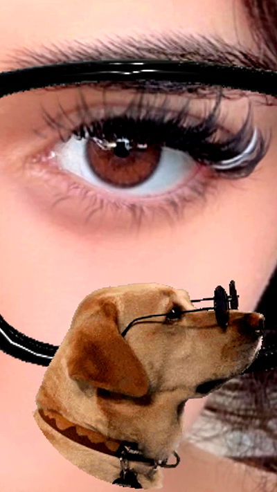 tutiiiiii666 tutiiiiii666 archive video